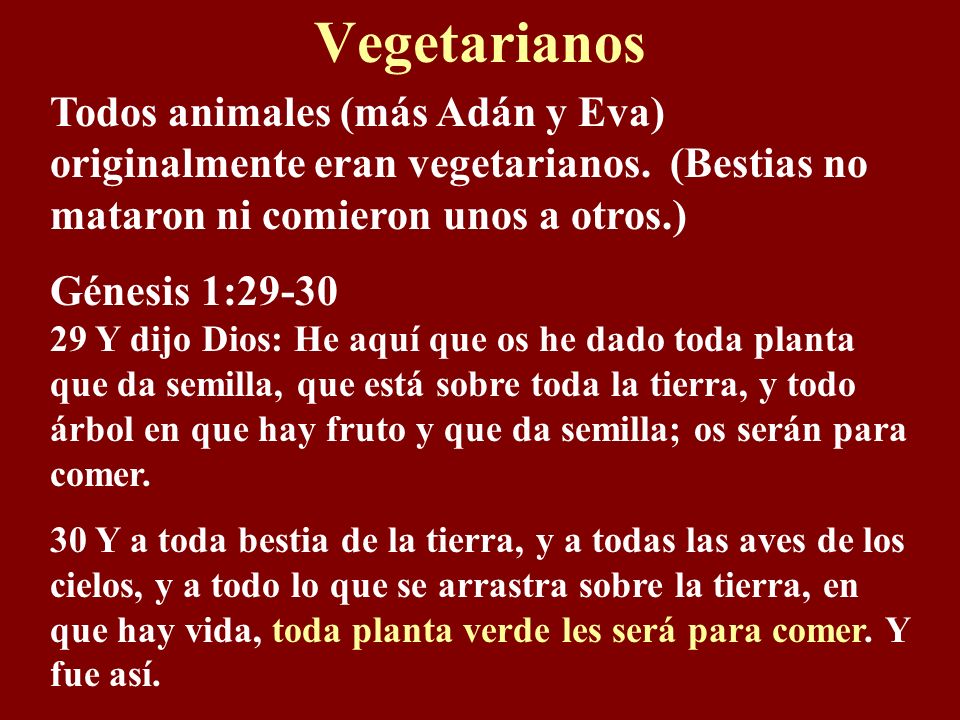 Vegetarianos Todos animales (más Adán y Eva) originalmente eran vegetarianos. (Bestias no mataron ni comieron unos a otros.)