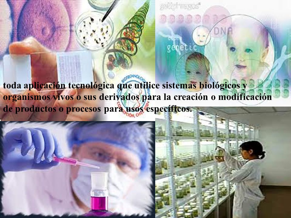 toda aplicación tecnológica que utilice sistemas biológicos y organismos vivos o sus derivados para la creación o modificación de productos o procesos para usos específicos.