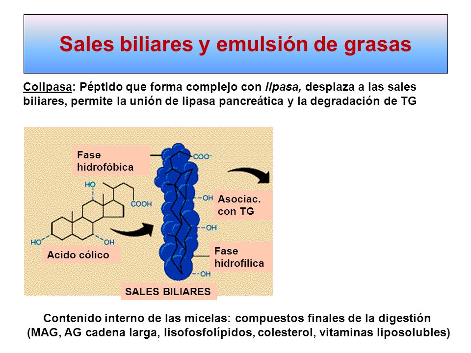 Sales biliares y emulsión de grasas