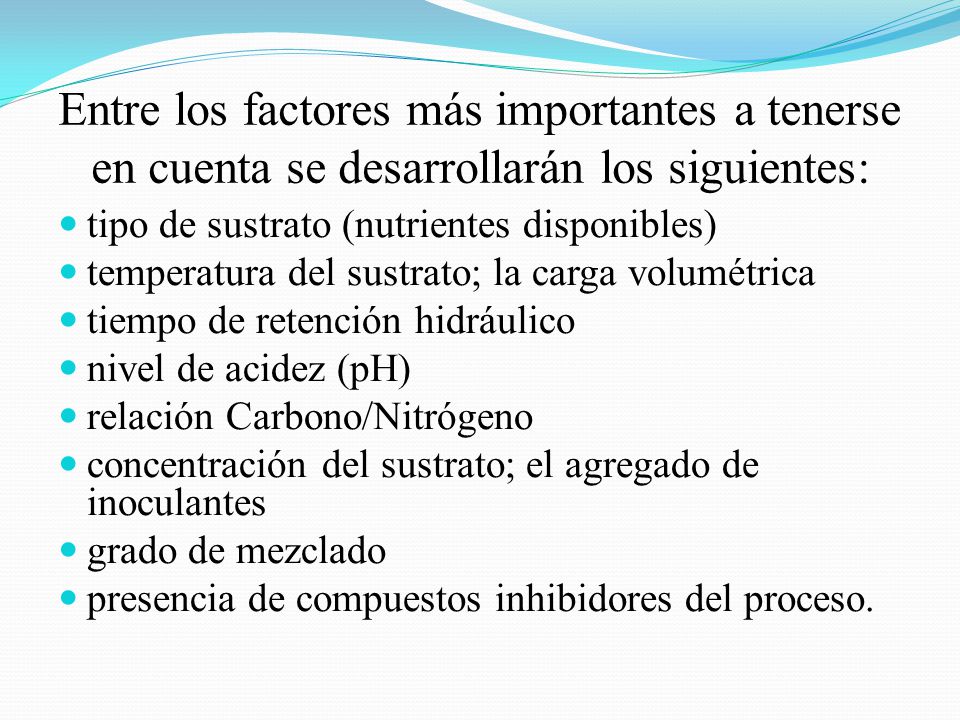 Entre los factores más importantes a tenerse en cuenta se desarrollarán los siguientes: