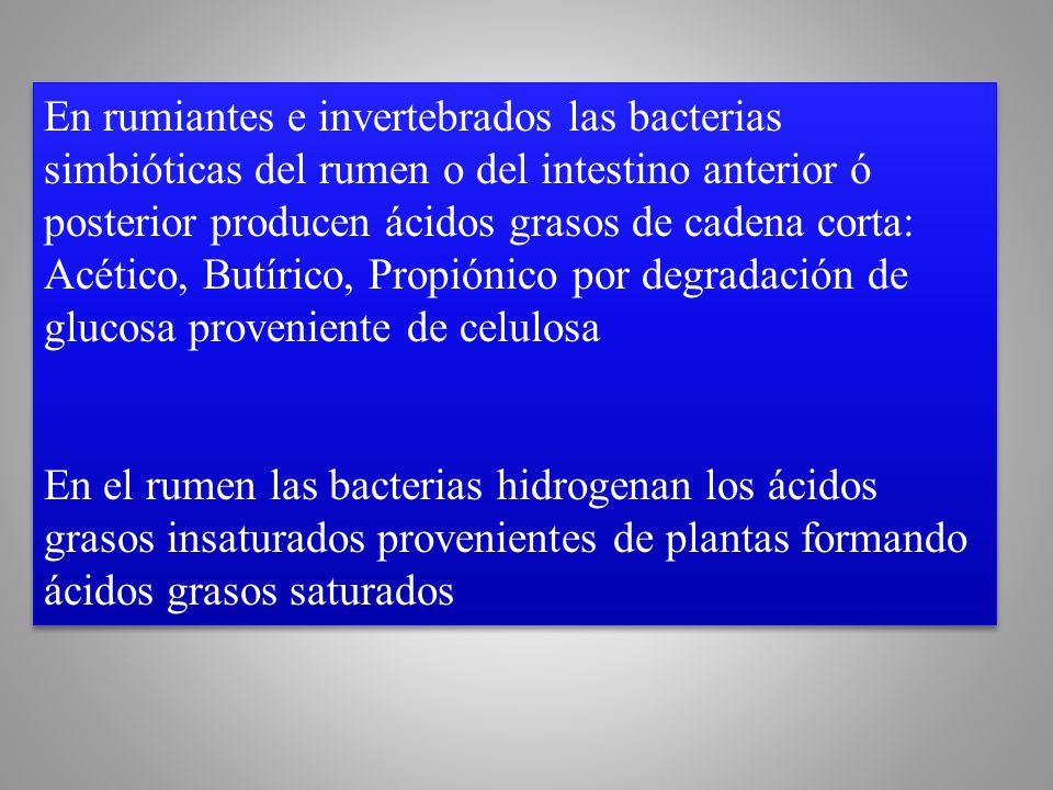 En rumiantes e invertebrados las bacterias simbióticas del rumen o del intestino anterior ó posterior producen ácidos grasos de cadena corta: Acético, Butírico, Propiónico por degradación de glucosa proveniente de celulosa