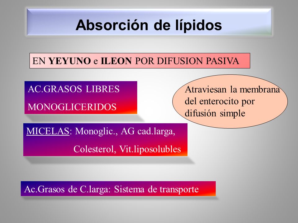 Absorción de lípidos EN YEYUNO e ILEON POR DIFUSION PASIVA