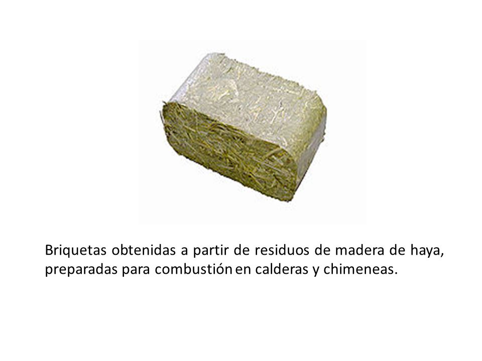 Briquetas obtenidas a partir de residuos de madera de haya, preparadas para combustión en calderas y chimeneas.