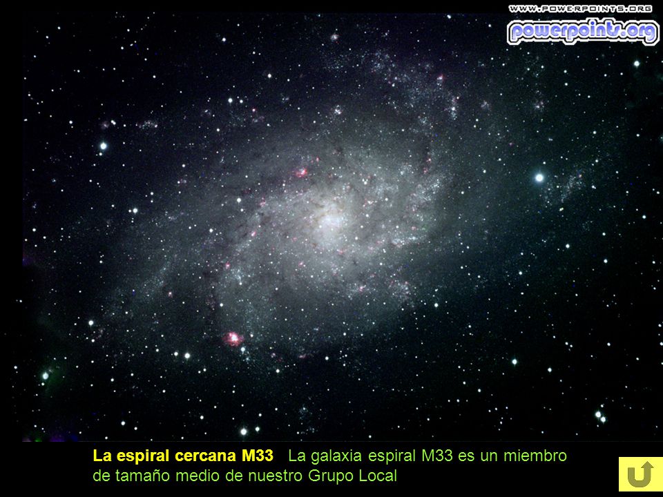 La espiral cercana M33 La galaxia espiral M33 es un miembro de tamaño medio de nuestro Grupo Local