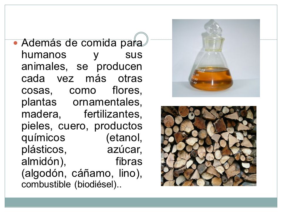 Además de comida para humanos y sus animales, se producen cada vez más otras cosas, como flores, plantas ornamentales, madera, fertilizantes, pieles, cuero, productos químicos (etanol, plásticos, azúcar, almidón), fibras (algodón, cáñamo, lino), combustible (biodiésel)..