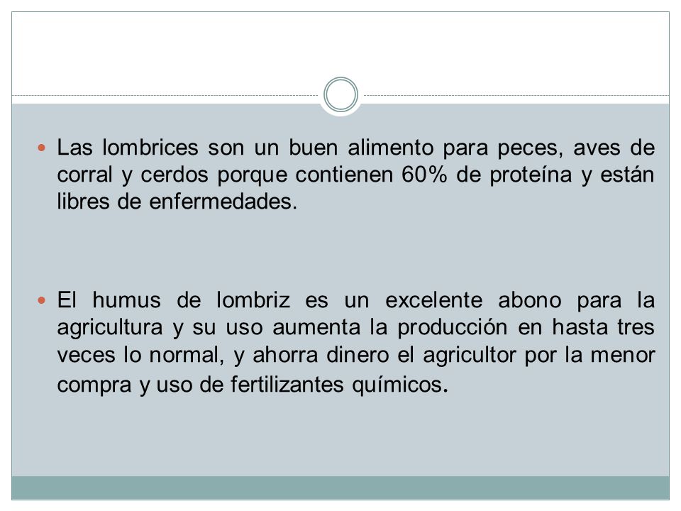 Las lombrices son un buen alimento para peces, aves de corral y cerdos porque contienen 60% de proteína y están libres de enfermedades.