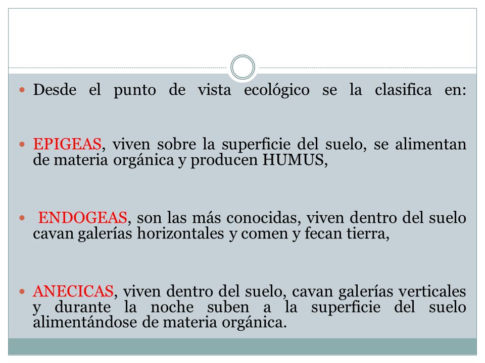 Desde el punto de vista ecológico se la clasifica en: