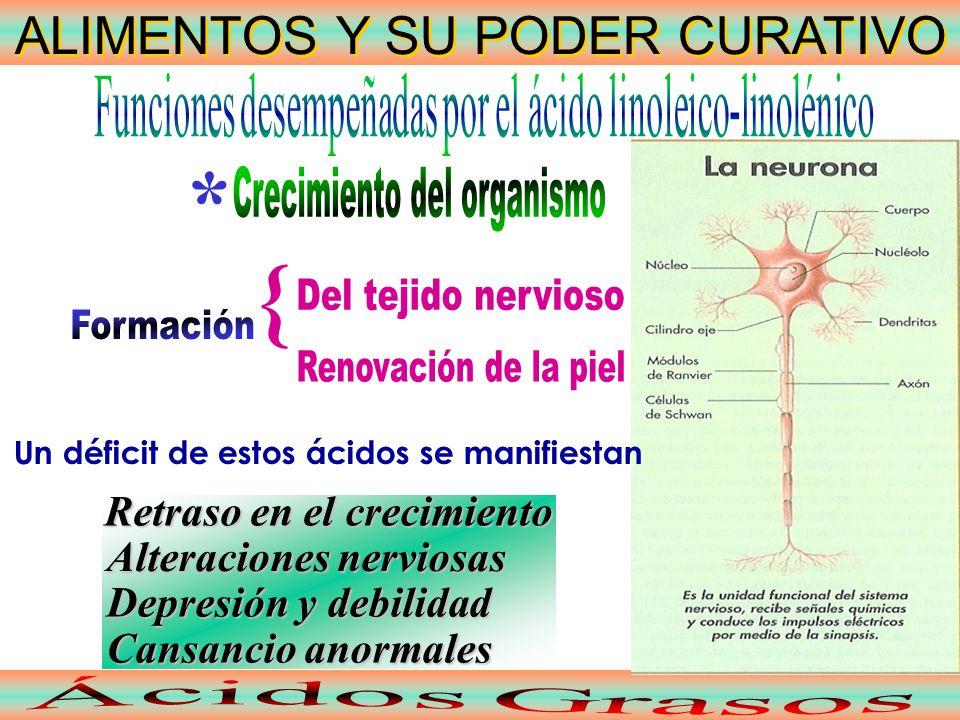 { * ALIMENTOS Y SU PODER CURATIVO Crecimiento del organismo
