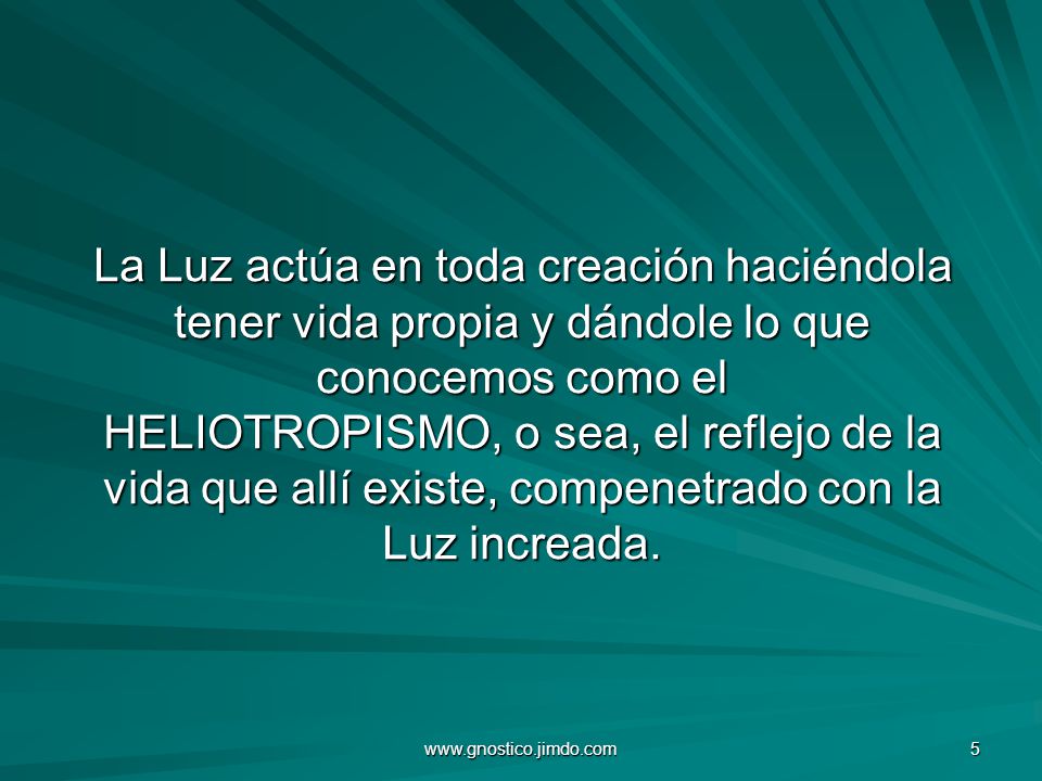 La Luz actúa en toda creación haciéndola tener vida propia y dándole lo que conocemos como el HELIOTROPISMO, o sea, el reflejo de la vida que allí existe, compenetrado con la Luz increada.