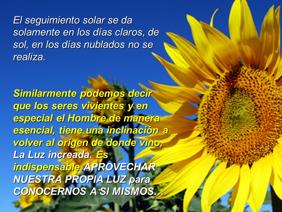 El seguimiento solar se da solamente en los días claros, de sol, en los días nublados no se realiza. Similarmente podemos decir que los seres vivientes y en especial el Hombre de manera esencial, tiene una inclinación a volver al origen de donde vino, La Luz increada. Es indispensable APROVECHAR NUESTRA PROPIA LUZ para CONOCERNOS A SI MISMOS…