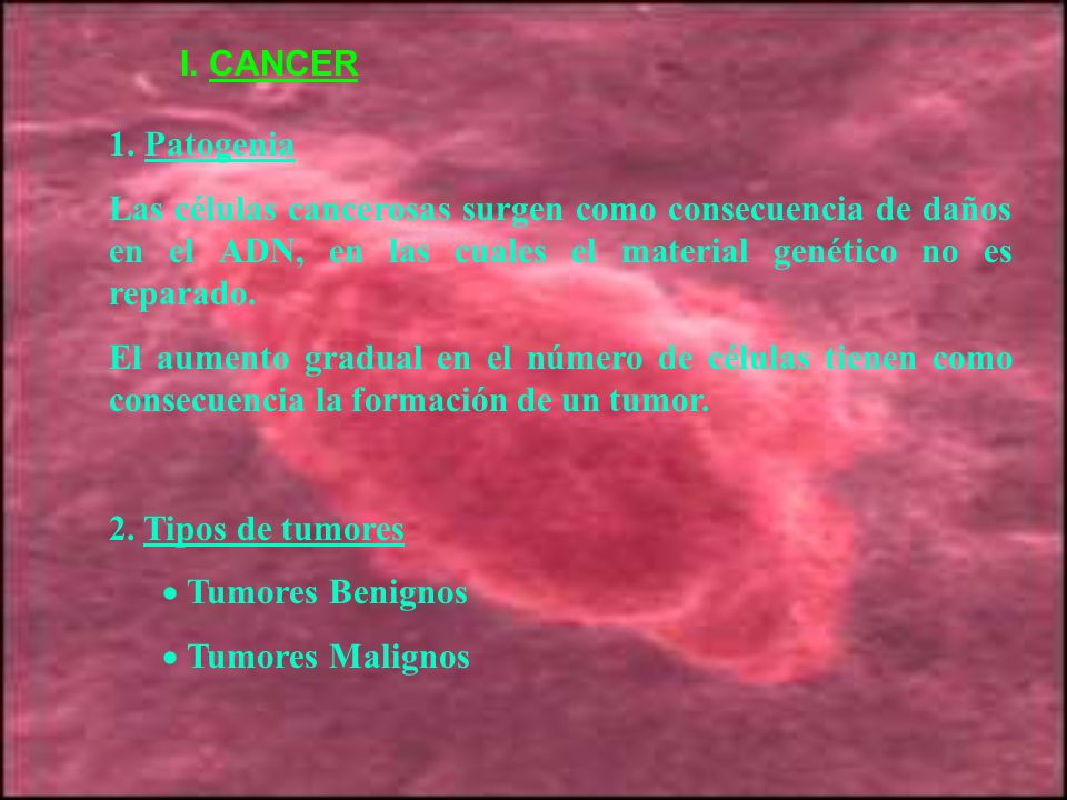 I. CANCER 1. Patogenia. Las células cancerosas surgen como consecuencia de daños en el ADN, en las cuales el material genético no es reparado.