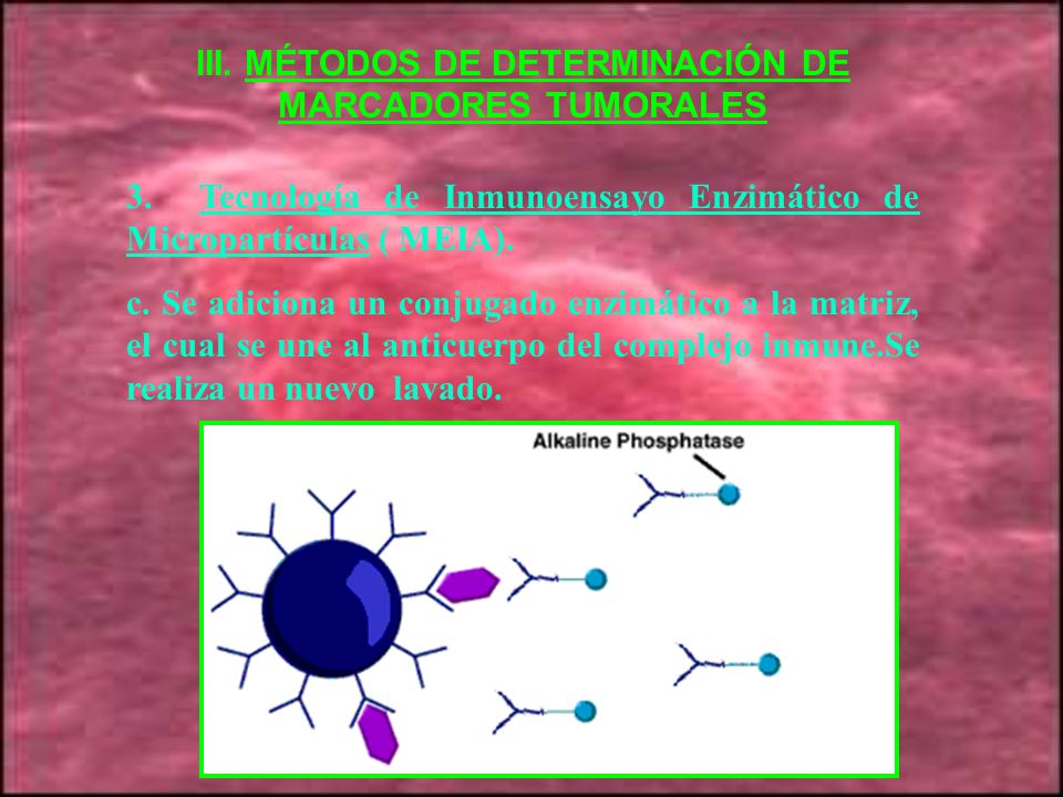 III. MÉTODOS DE DETERMINACIÓN DE MARCADORES TUMORALES