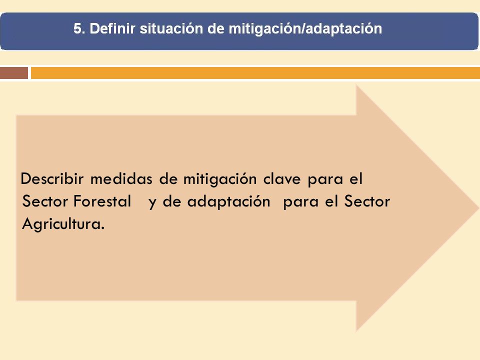 Describir medidas de mitigación clave para el Sector Forestal y de adaptación para el Sector Agricultura.