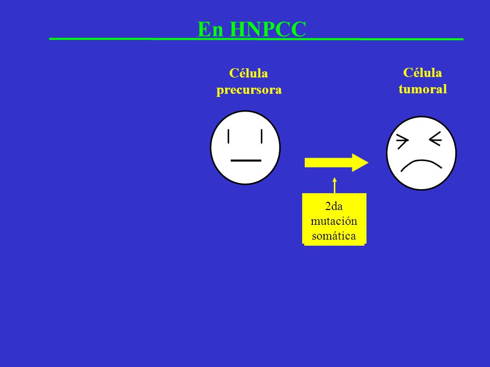 En HNPCC Célula normal Célula precursora Célula tumoral