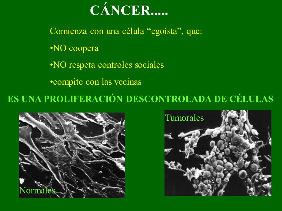 CÁNCER..... Comienza con una célula egoísta , que: NO coopera