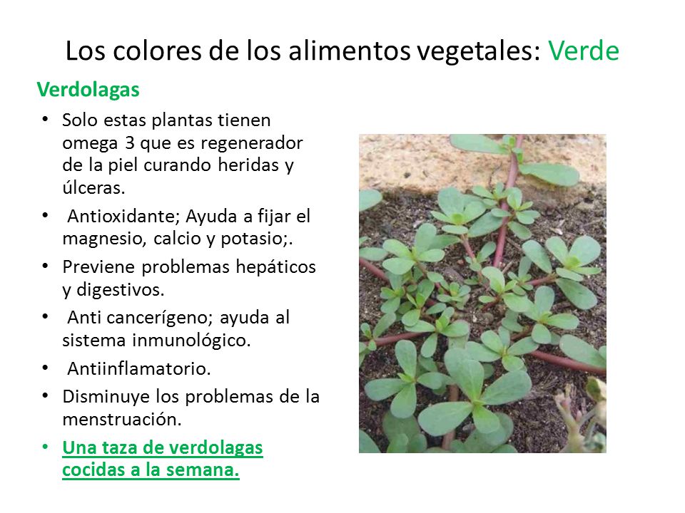 Los colores de los alimentos vegetales: Verde