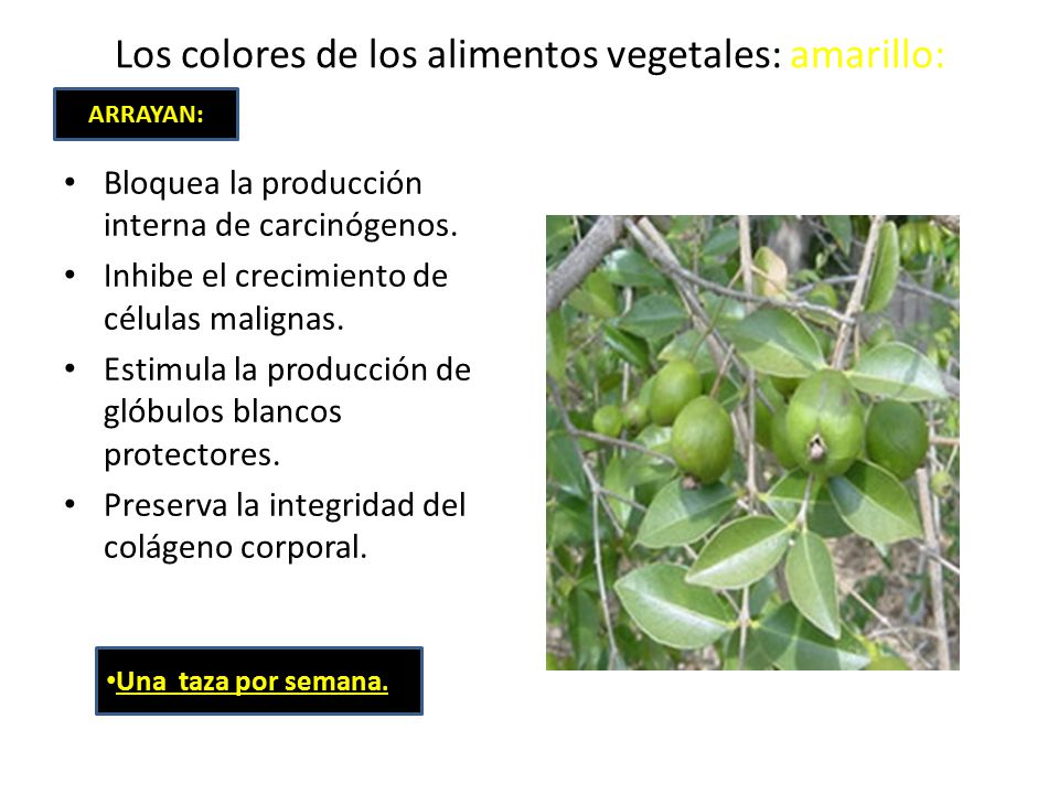 Los colores de los alimentos vegetales: amarillo: