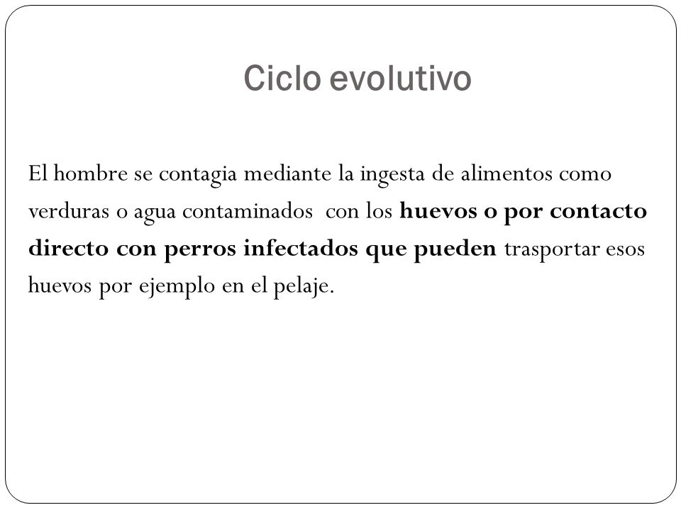 Ciclo evolutivo
