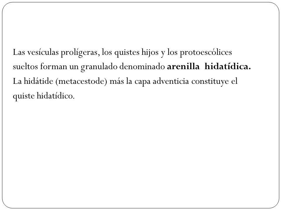 Las vesículas prolígeras, los quistes hijos y los protoescólices sueltos forman un granulado denominado arenilla hidatídica.