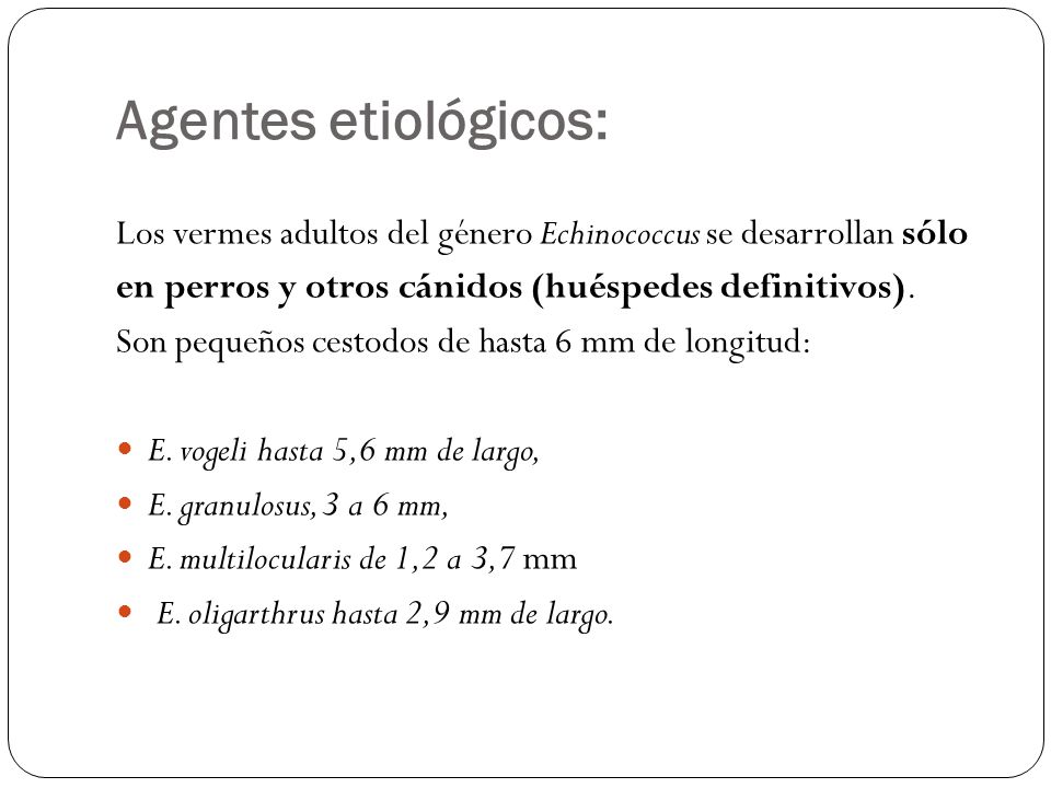 Agentes etiológicos: Los vermes adultos del género Echinococcus se desarrollan sólo. en perros y otros cánidos (huéspedes definitivos).