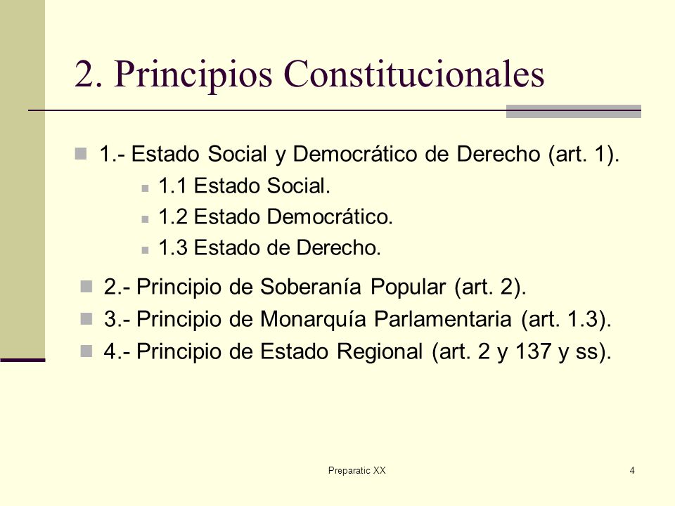 2. Principios Constitucionales