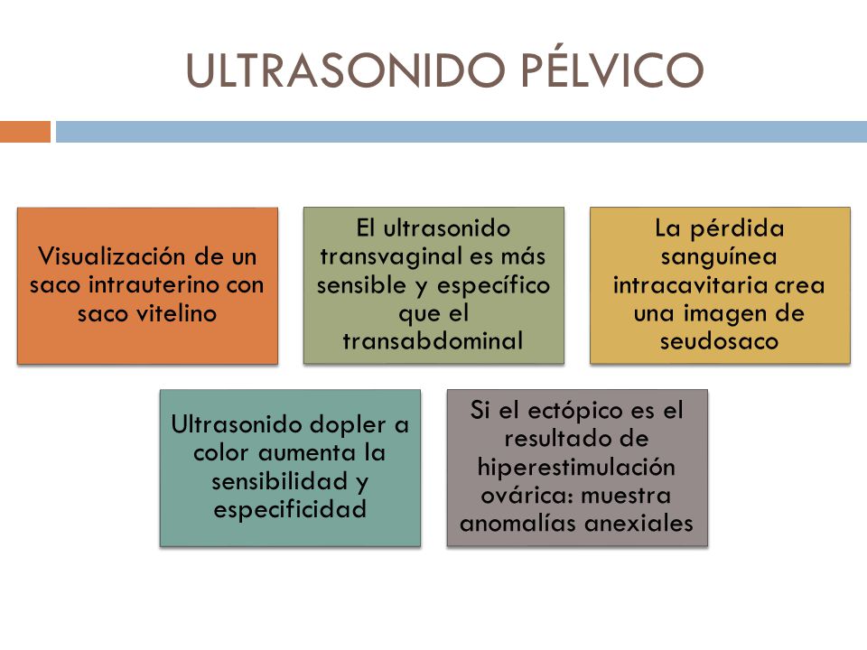 ULTRASONIDO PÉLVICO Visualización de un saco intrauterino con saco vitelino.