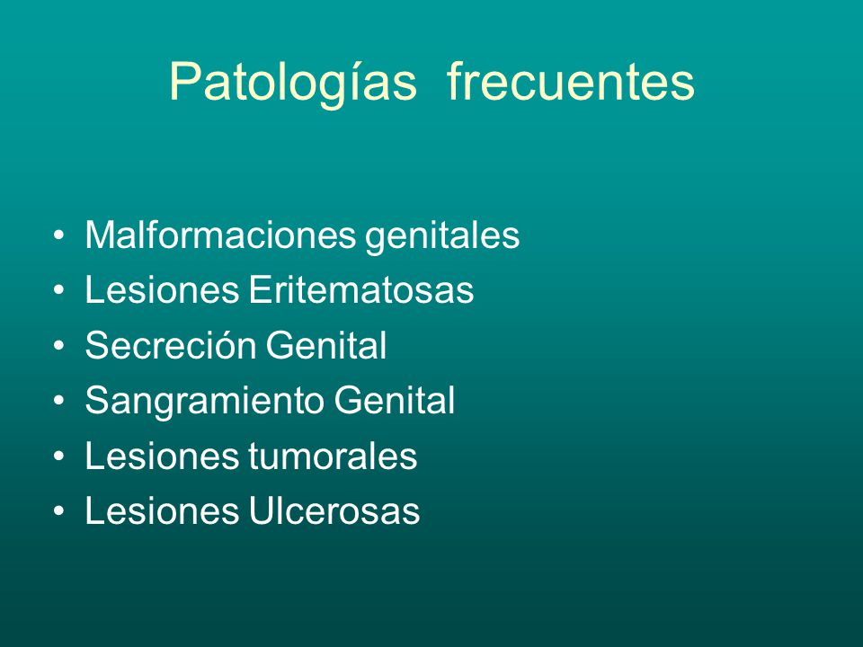 Patologías frecuentes