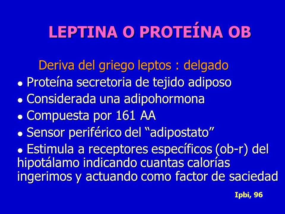 LEPTINA O PROTEÍNA OB Deriva del griego leptos : delgado