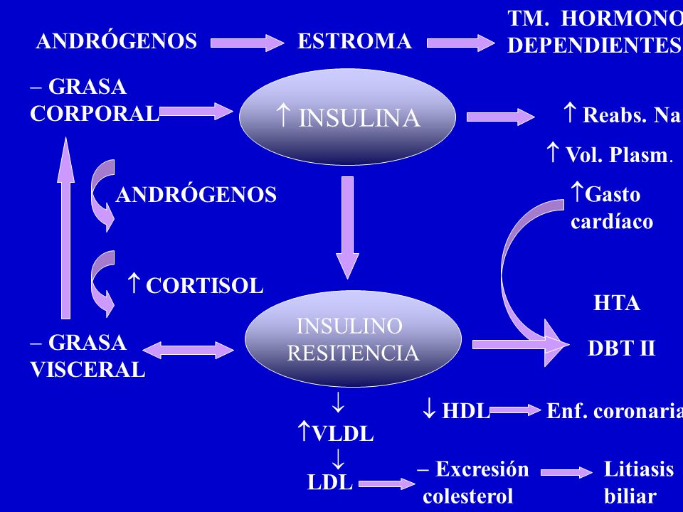  INSULINA TM. HORMONO DEPENDIENTES ANDRÓGENOS ESTROMA GRASA CORPORAL