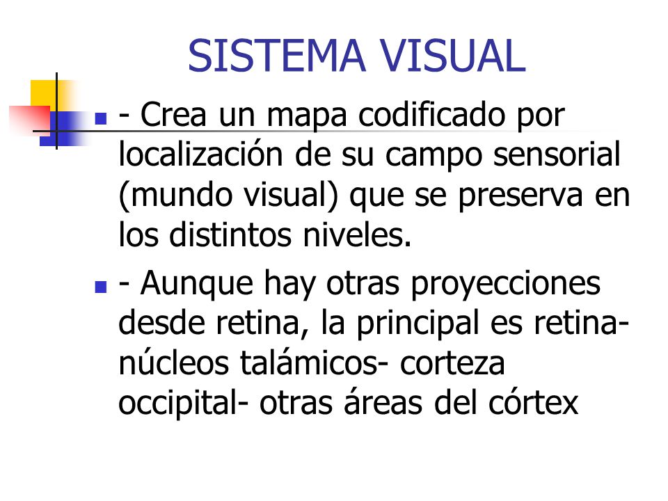 SISTEMA VISUAL - Crea un mapa codificado por localización de su campo sensorial (mundo visual) que se preserva en los distintos niveles.