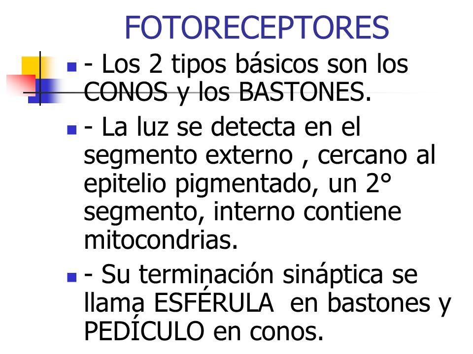 FOTORECEPTORES - Los 2 tipos básicos son los CONOS y los BASTONES.