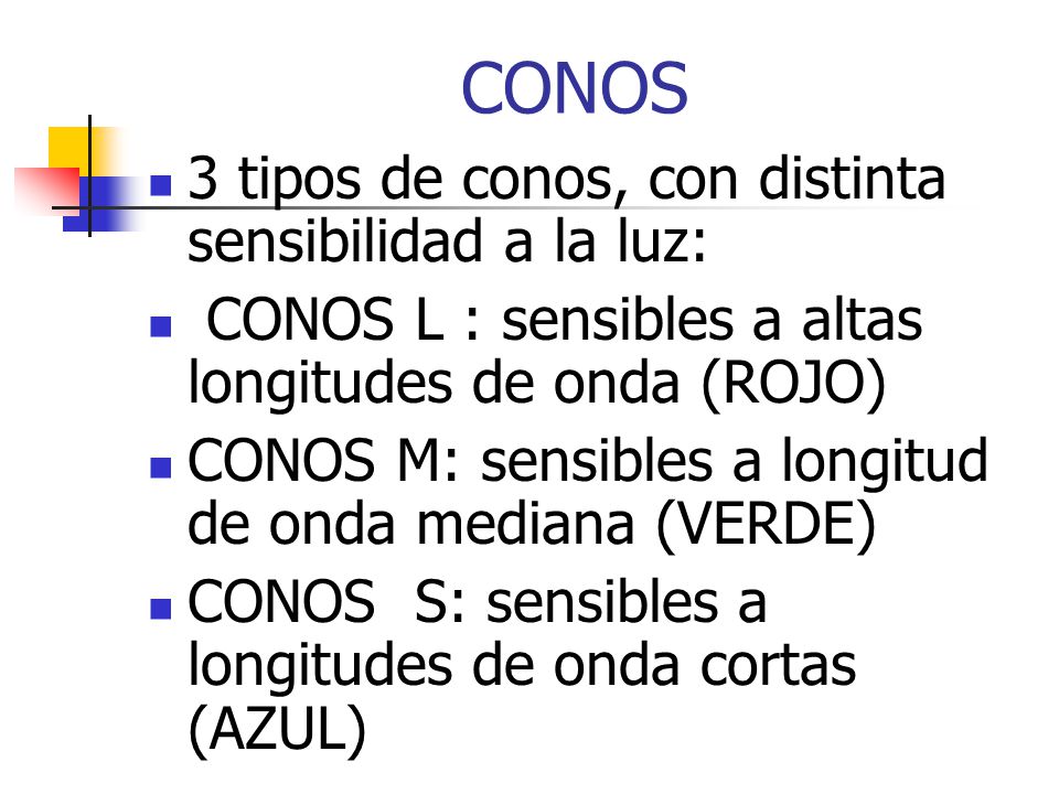 CONOS 3 tipos de conos, con distinta sensibilidad a la luz: