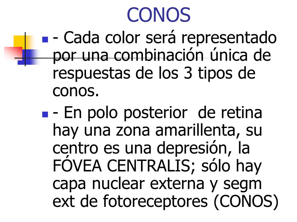 CONOS - Cada color será representado por una combinación única de respuestas de los 3 tipos de conos.