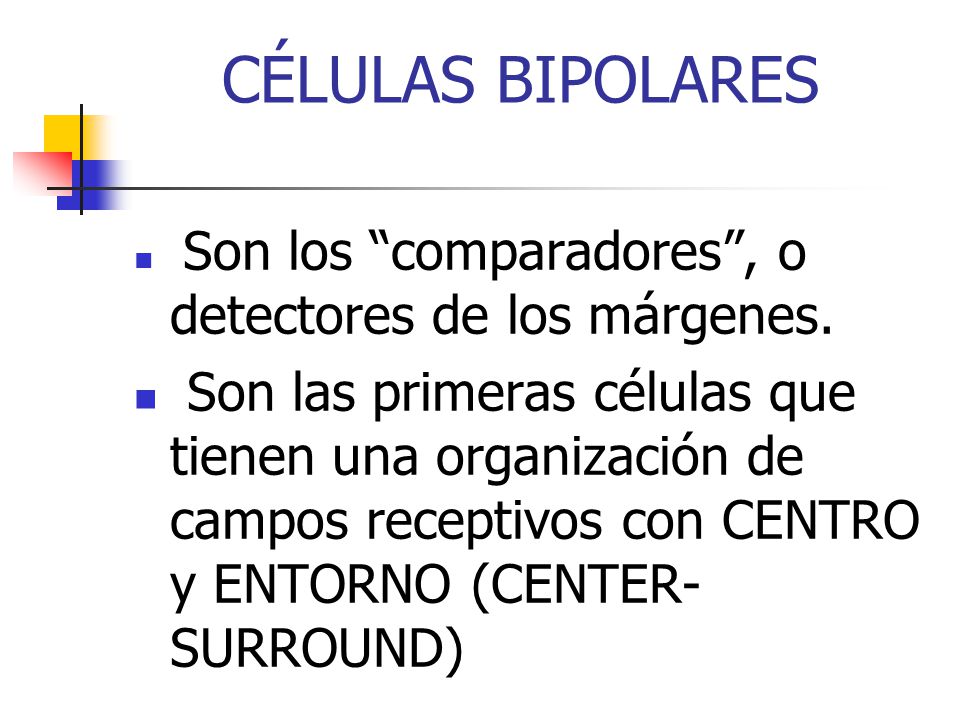 CÉLULAS BIPOLARES Son los comparadores , o detectores de los márgenes.