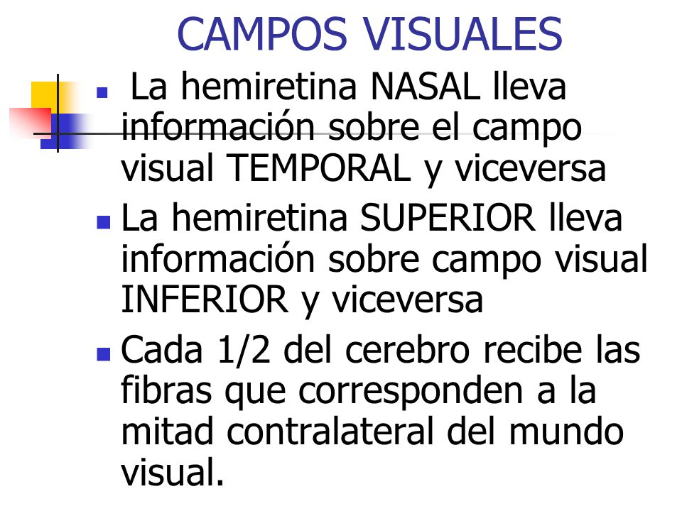 CAMPOS VISUALES La hemiretina NASAL lleva información sobre el campo visual TEMPORAL y viceversa.