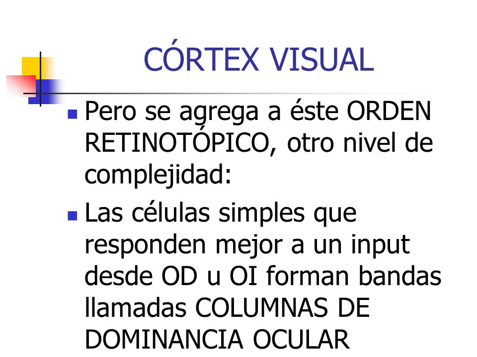 CÓRTEX VISUAL Pero se agrega a éste ORDEN RETINOTÓPICO, otro nivel de complejidad: