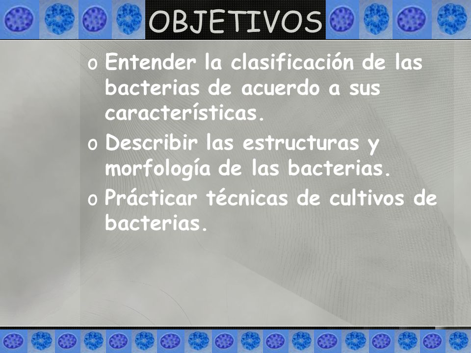 OBJETIVOS Entender la clasificación de las bacterias de acuerdo a sus características. Describir las estructuras y morfología de las bacterias.