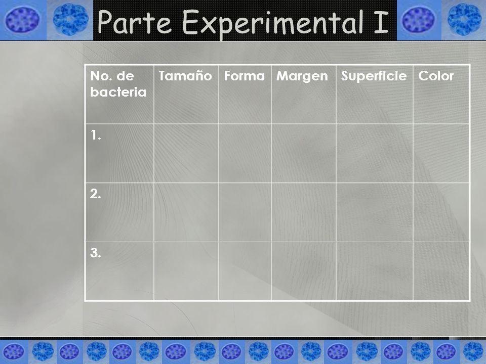 Parte Experimental I No. de bacteria Tamaño Forma Margen Superficie