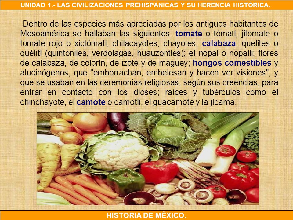 Dentro de las especies más apreciadas por los antiguos habitantes de Mesoamérica se hallaban las siguientes: tomate o tómatl, jitomate o tomate rojo o xictómatl, chilacayotes, chayotes, calabaza, quelites o quélitl (quintoniles, verdolagas, huauzontles); el nopal o nopalli; flores de calabaza, de colorín, de izote y de maguey; hongos comestibles y alucinógenos, que emborrachan, embelesan y hacen ver visiones , y que se usaban en las ceremonias religiosas, según sus creencias, para entrar en contacto con los dioses; raíces y tubérculos como el chinchayote, el camote o camotli, el guacamote y la jícama.