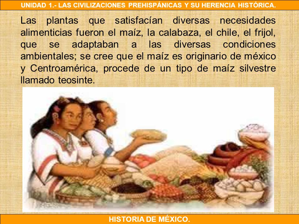 Las plantas que satisfacían diversas necesidades alimenticias fueron el maíz, la calabaza, el chile, el frijol, que se adaptaban a las diversas condiciones ambientales; se cree que el maíz es originario de méxico y Centroamérica, procede de un tipo de maíz silvestre llamado teosinte.