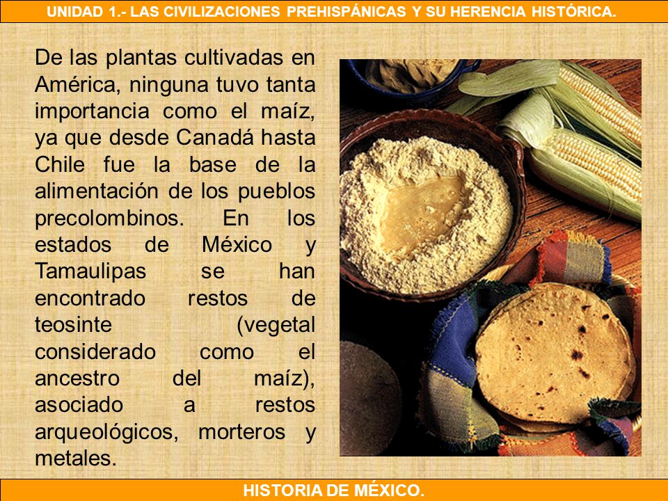 De las plantas cultivadas en América, ninguna tuvo tanta importancia como el maíz, ya que desde Canadá hasta Chile fue la base de la alimentación de los pueblos precolombinos.