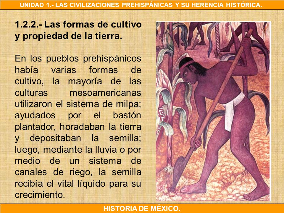 Las formas de cultivo y propiedad de la tierra.