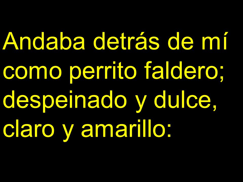 Andaba detrás de mí como perrito faldero; despeinado y dulce, claro y amarillo: