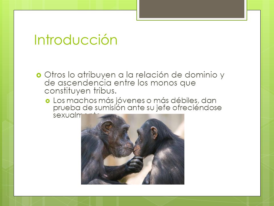 Introducción Otros lo atribuyen a la relación de dominio y de ascendencia entre los monos que constituyen tribus.