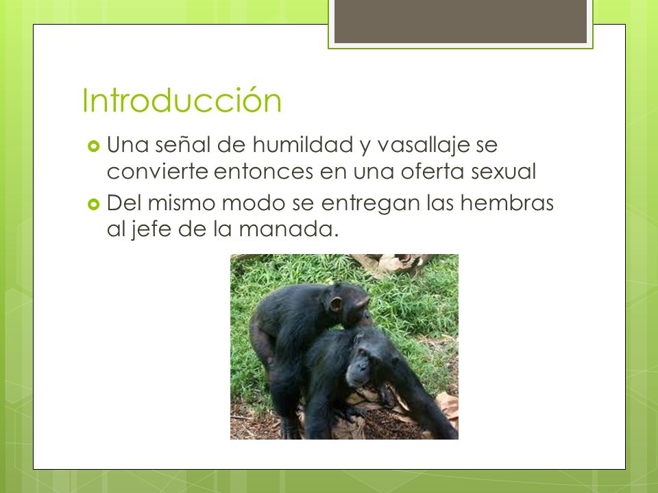 Introducción Una señal de humildad y vasallaje se convierte entonces en una oferta sexual.
