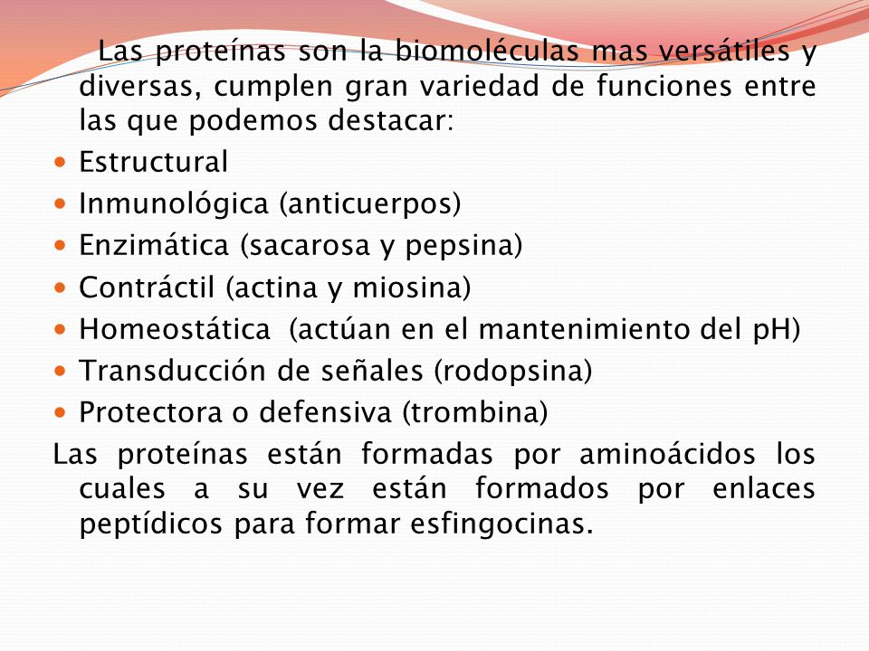 Las proteínas son la biomoléculas mas versátiles y diversas, cumplen gran variedad de funciones entre las que podemos destacar: