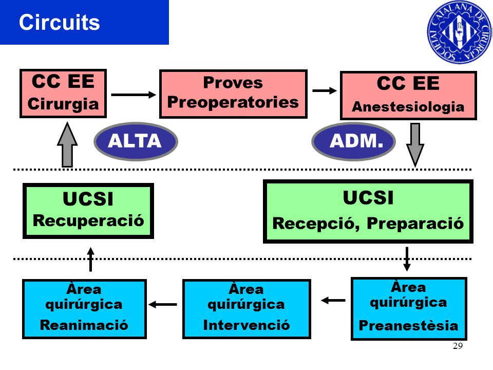 Circuits CC EE CC EE ALTA ADM. UCSI UCSI Proves Cirurgia