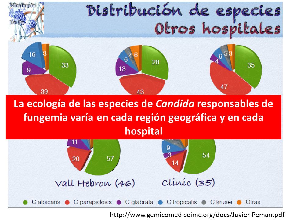 La ecología de las especies de Candida responsables de fungemia varía en cada región geográfica y en cada hospital