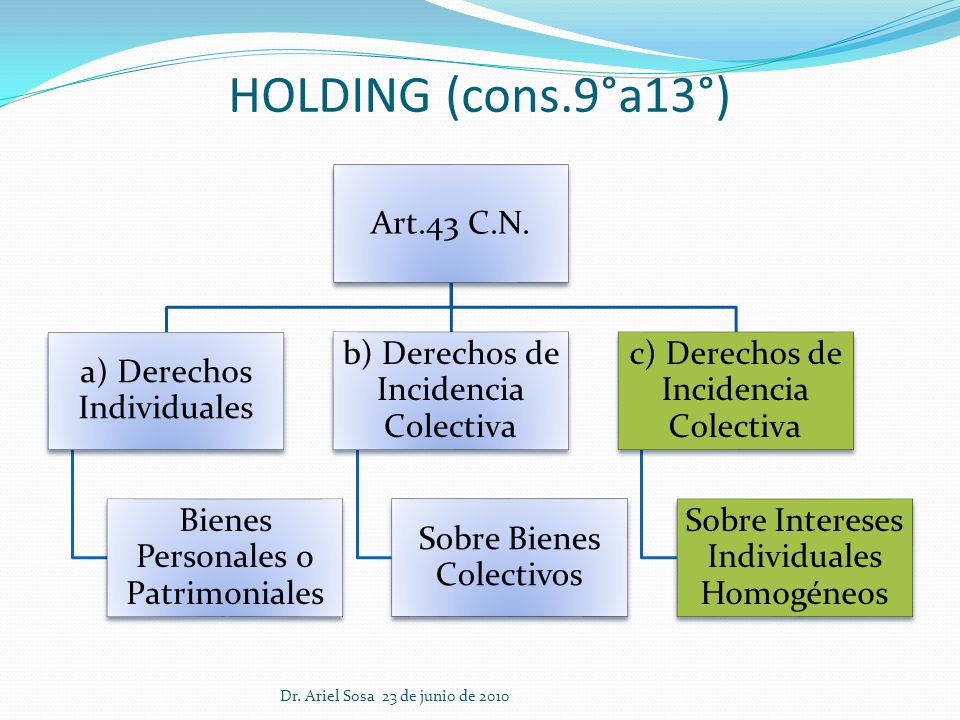 HOLDING (cons.9°a13°) Dr. Ariel Sosa 23 de junio de 2010 Art.43 C.N.