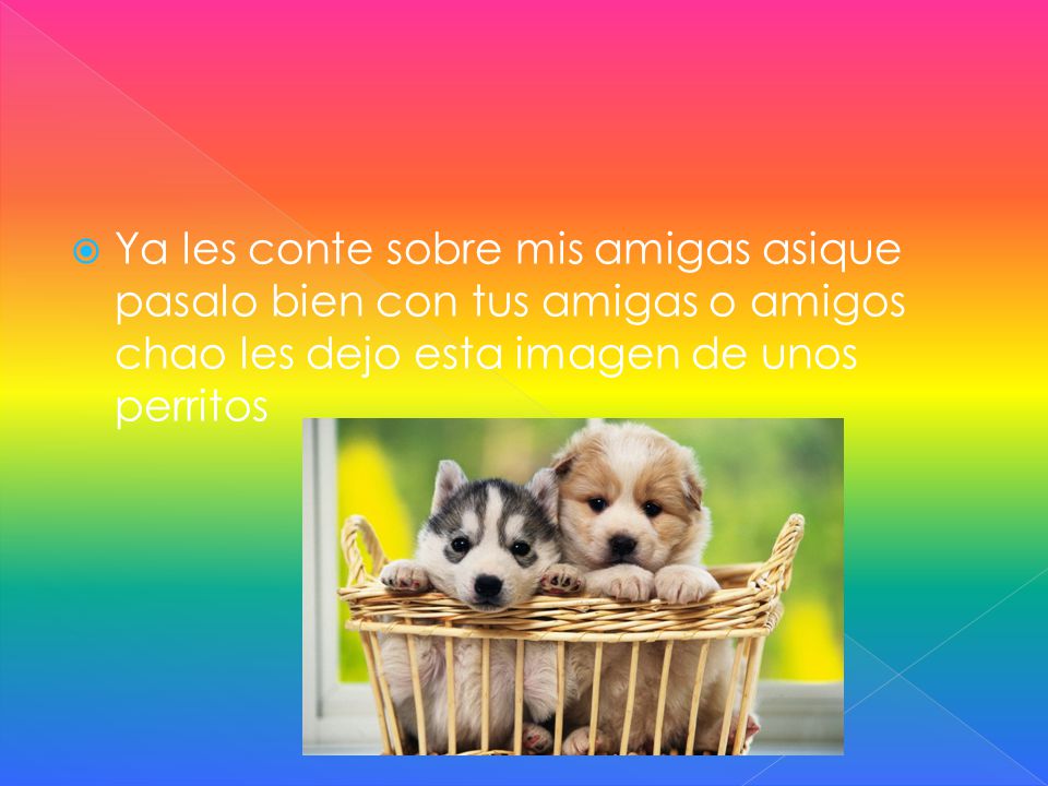 Ya les conte sobre mis amigas asique pasalo bien con tus amigas o amigos chao les dejo esta imagen de unos perritos